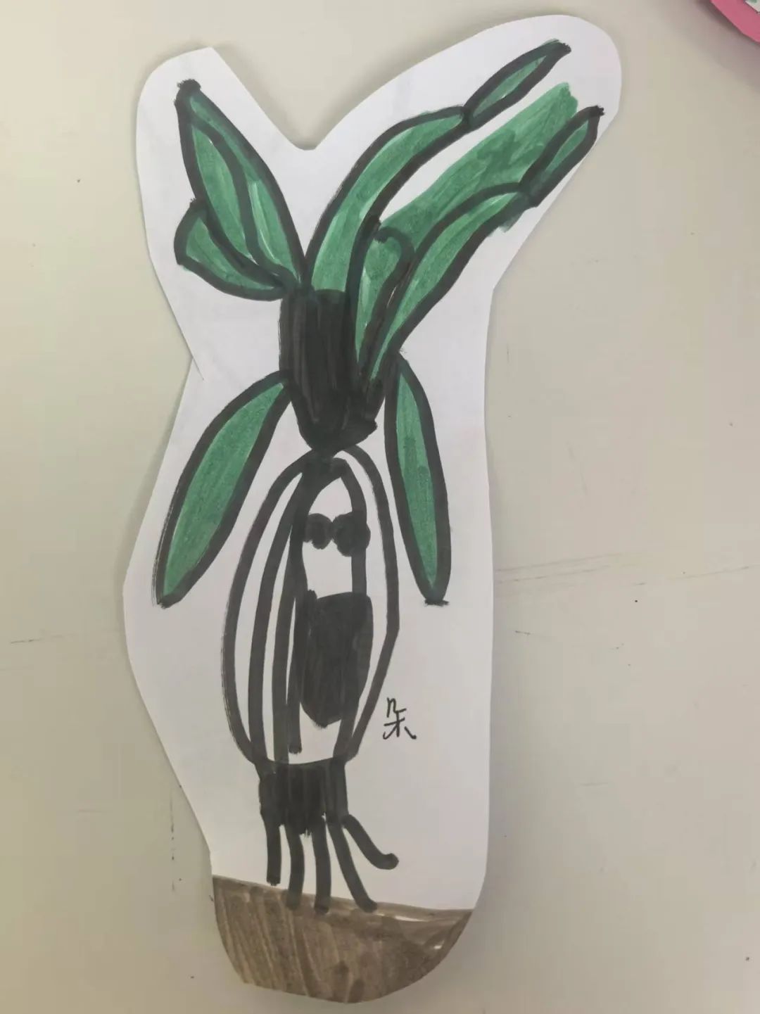 【自主课程—生命生长课程】蒜，长高了——城幼（李家园区）小中班幼儿课程故事-幼师课件网第94张图片