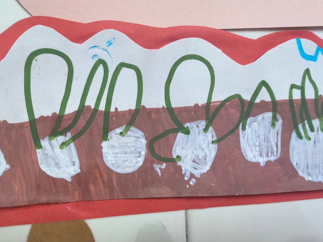 【自主课程—生命生长课程】蒜，长高了——城幼（李家园区）小中班幼儿课程故事-幼师课件网第101张图片