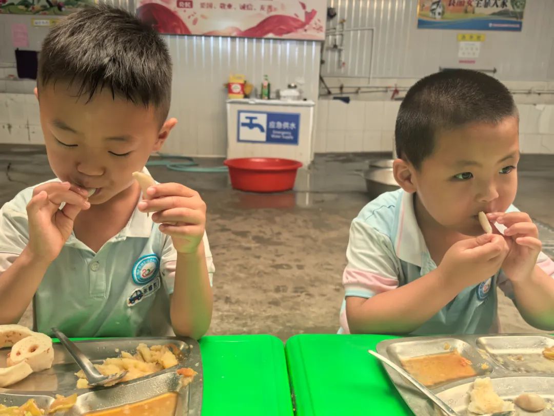 【自主课程—生命生长课程】蒜，长高了——城幼（李家园区）小中班幼儿课程故事-幼师课件网第176张图片